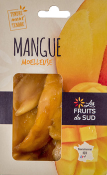 fruits-du-sud-secs-mangue